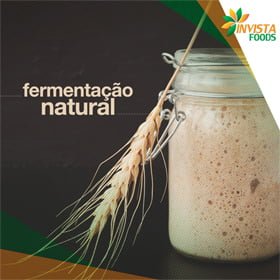fermentacao natural